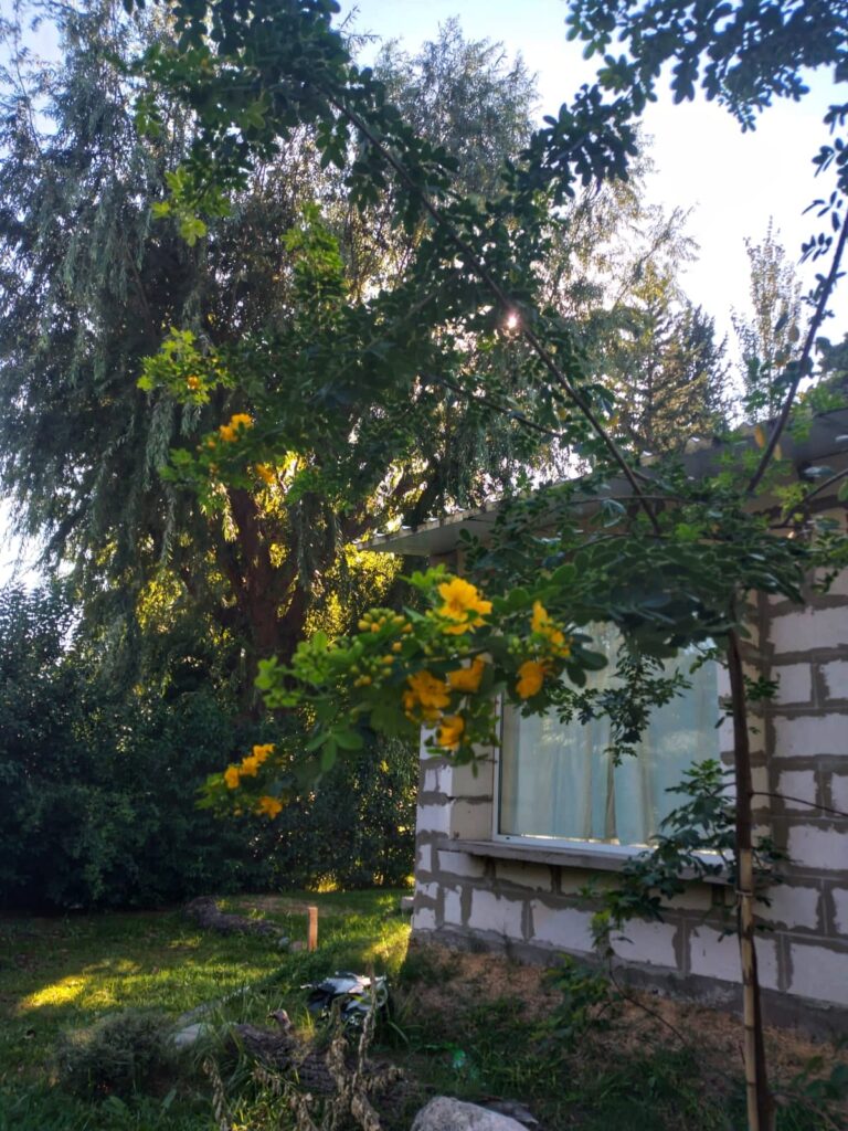 casa bhavantu exterior 5